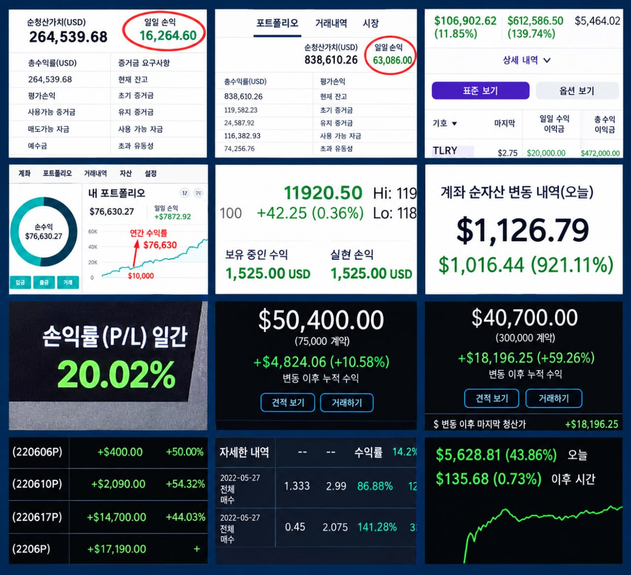 멤버 Real Profits 갤러리